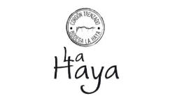 la haya 1