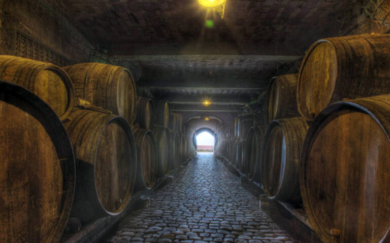 202209 monje 02 768x480