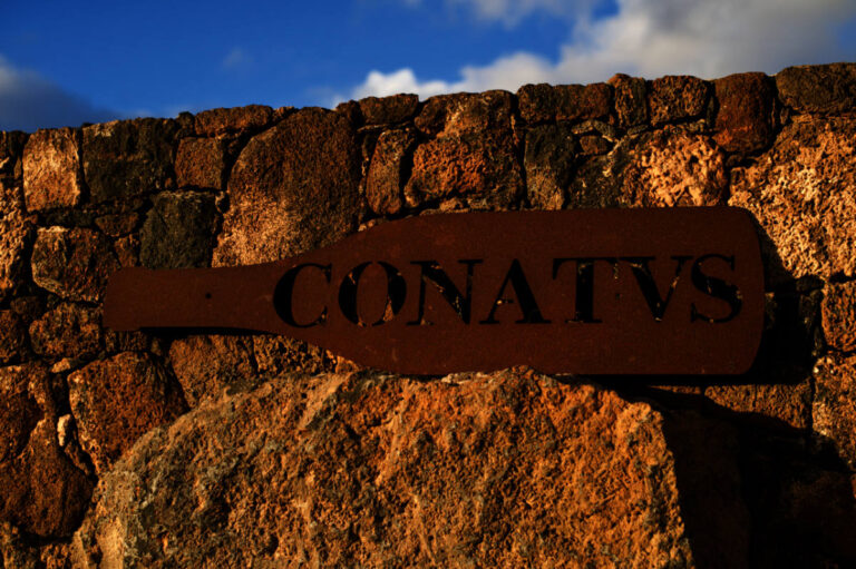 conatvs 01 768x511