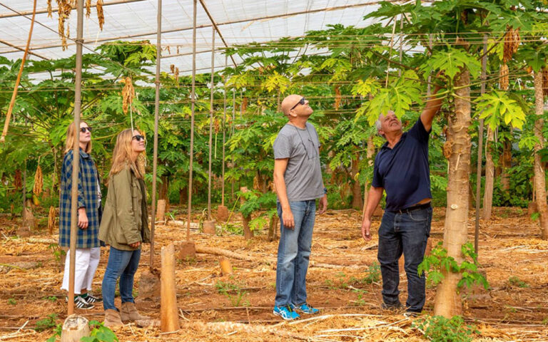 el cercado 03 768x480