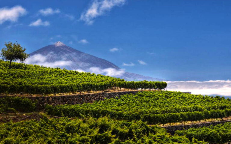 202209 monje 04 768x480