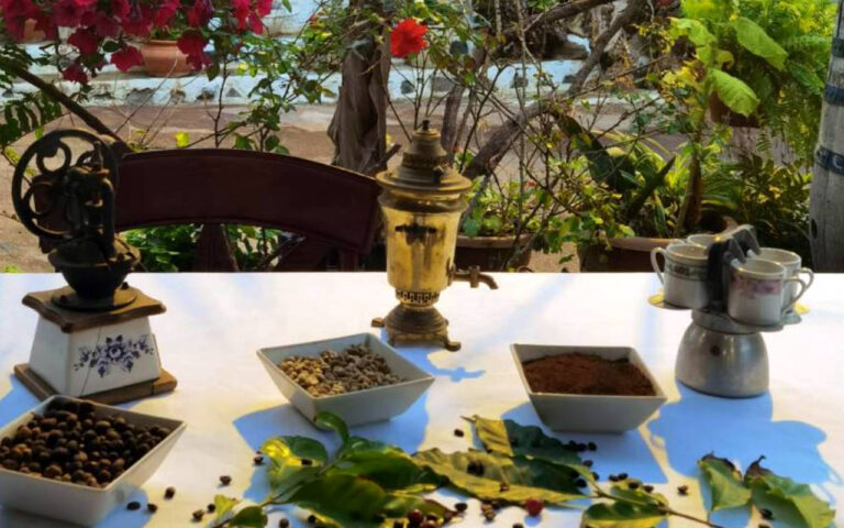 berrazales 04 768x480