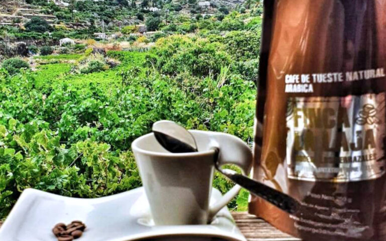 berrazales 05 768x480