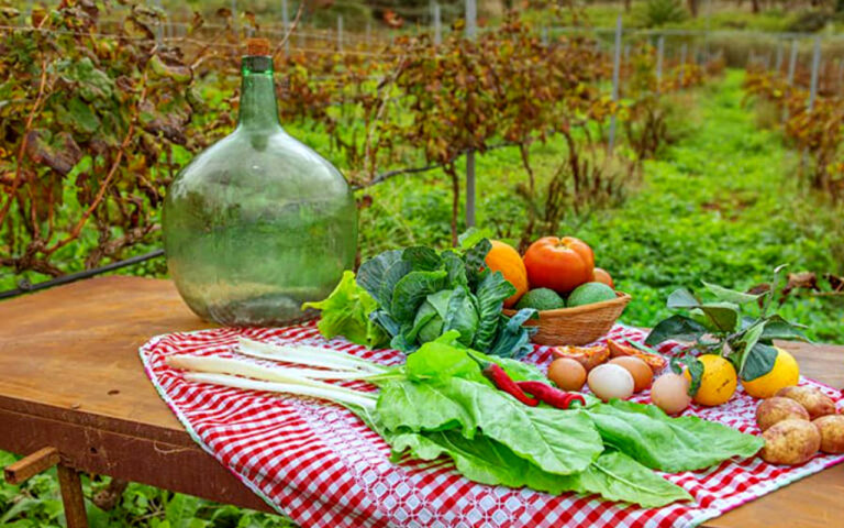 el cercado 05 768x480