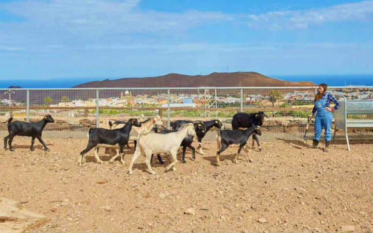 jaira de ana 01 768x480