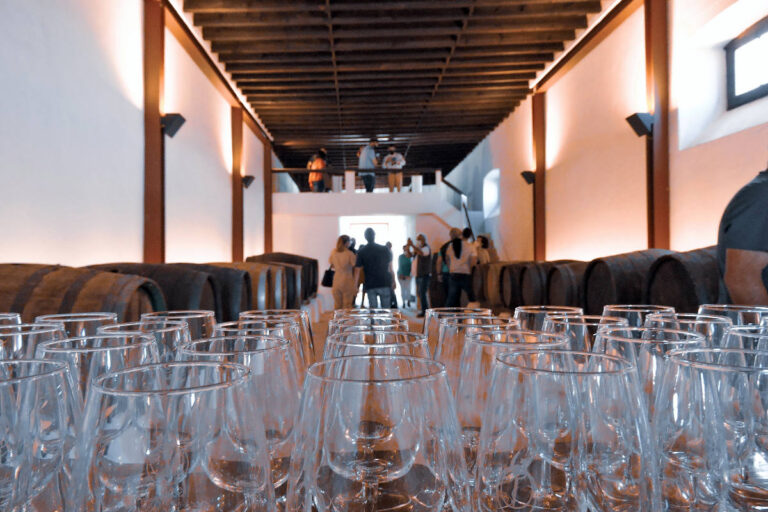 vega de yuco 01 768x512