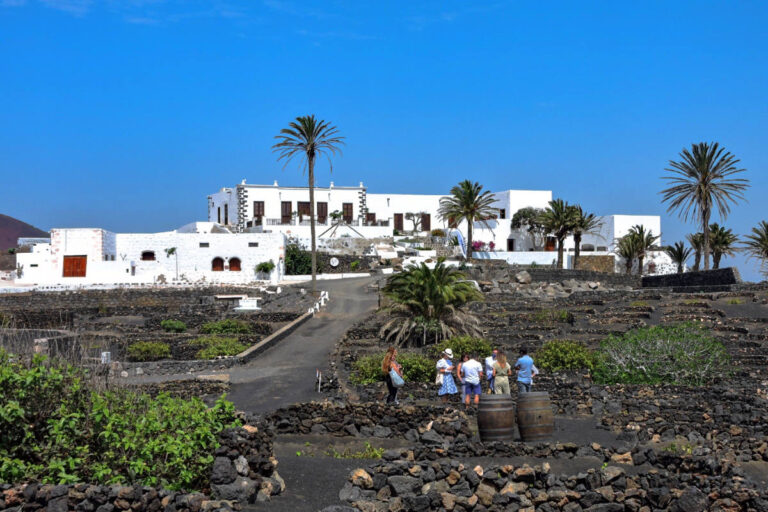 vega de yuco 02 768x512